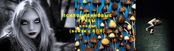 стафф Верея