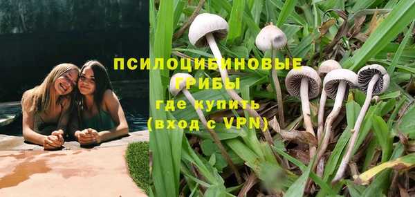 мет Пересвет