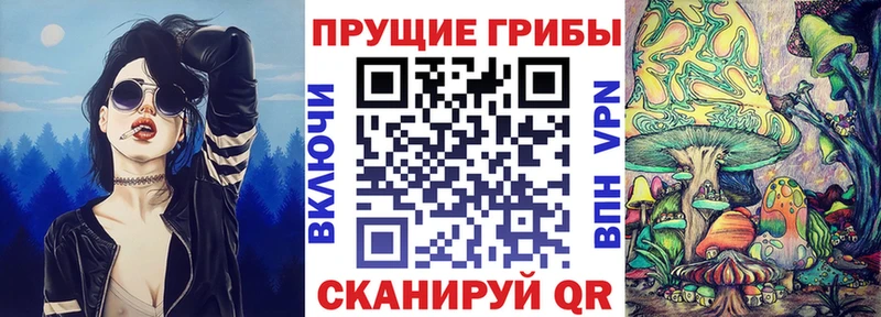 Псилоцибиновые грибы прущие грибы Ивдель